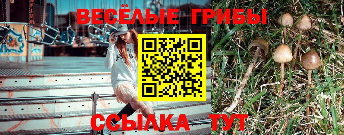 Галлюциногенные грибы ЛСД Нижневартовск